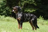 BEAUCERON 806